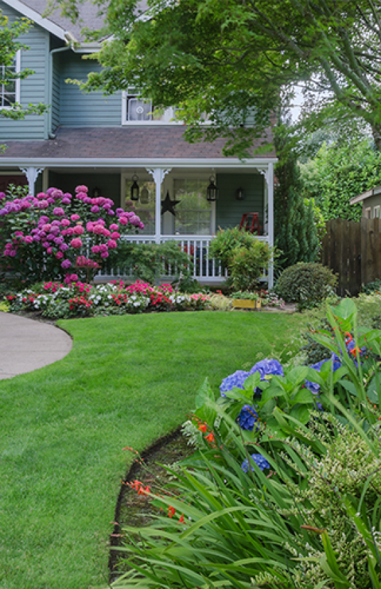 Garden Design & Planting